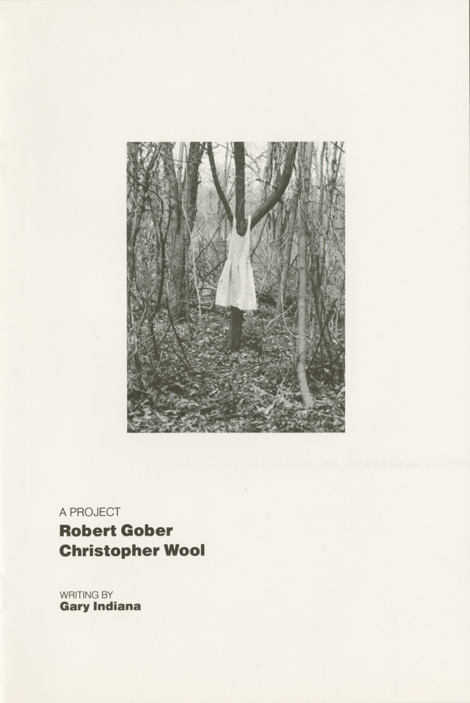 Robert Gober, Christopher Wool, A Project