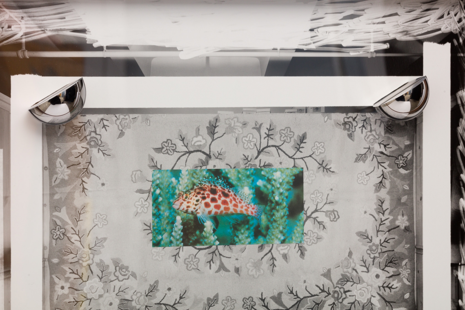 Elad Lassry

Untitled (Carpet, Coral Hawkfish)

2019

Silver gelatin print, offset print on paper, stainless steel, walnut frame

11 1/4 x 14 1/4 x 2 inches (28.6 x 36.2 x 5.1 cm) framed

Unique

EL 494

$18,000

&amp;nbsp;

INQUIRE