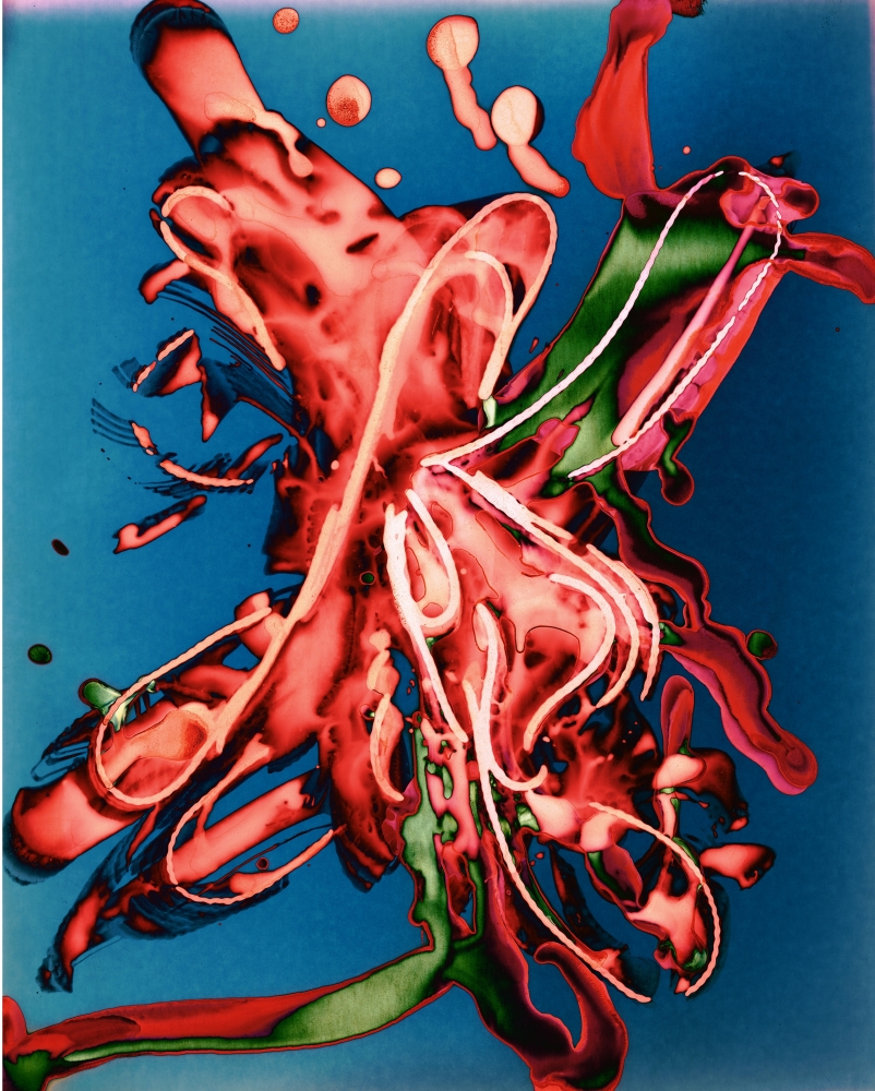 Florian Maier-Aichen

Untitled

2019

C-print

42 x 33 3/4 inches (106.7 x 85.7 cm)

Edition&amp;nbsp;of 3, with 2 AP

FMA 327

&amp;nbsp;

INQUIRE