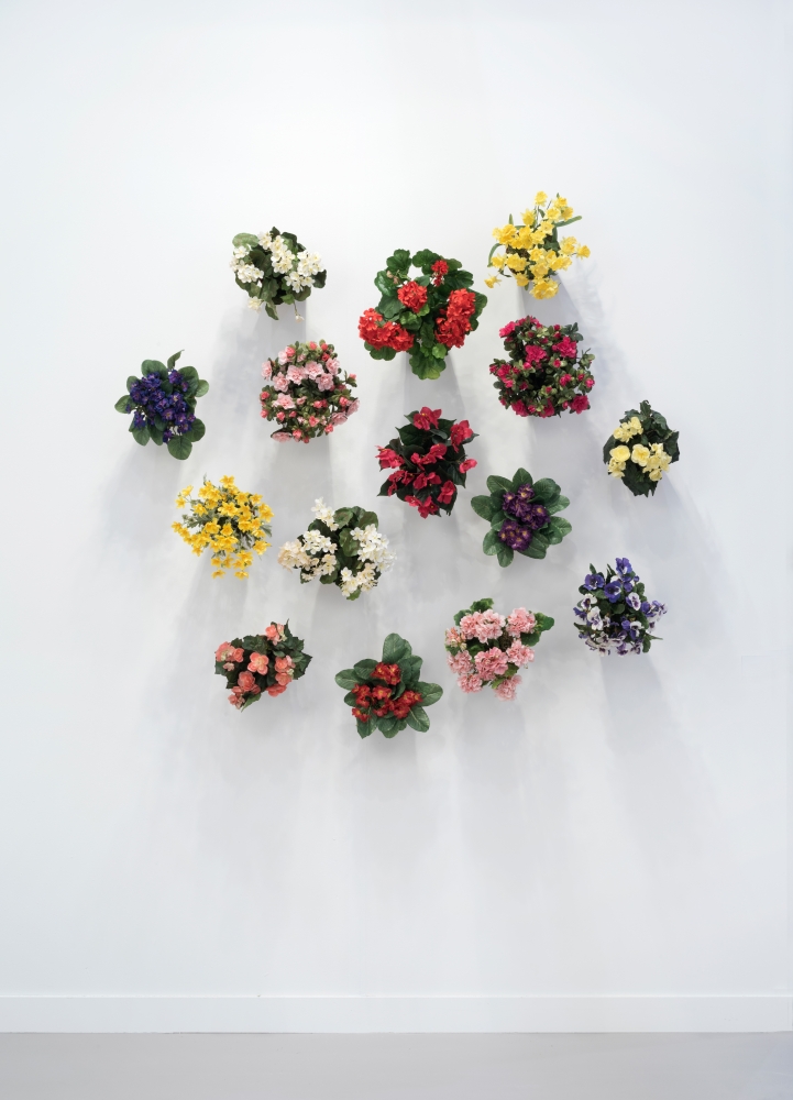 Hans-Peter Feldmann, Flower Pot