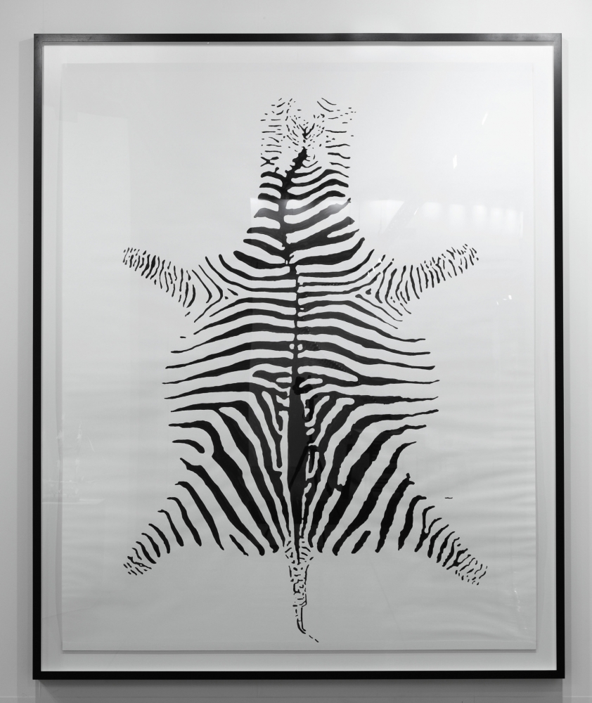 Hans-Peter Feldmann, Zebra