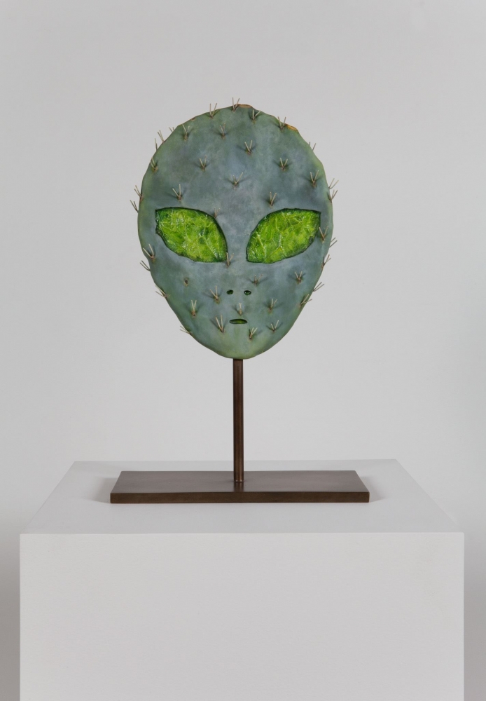 Matt Johnson

Alien Cactus

2015

Cast bronze with oil paint

18 1/2 x 12 x 5 3/4 inches (47 x 30.5 x 14.6 cm)

Edition&amp;nbsp;of 3, with 2 AP

MJ 117

$20,000

&amp;nbsp;

INQUIRE
