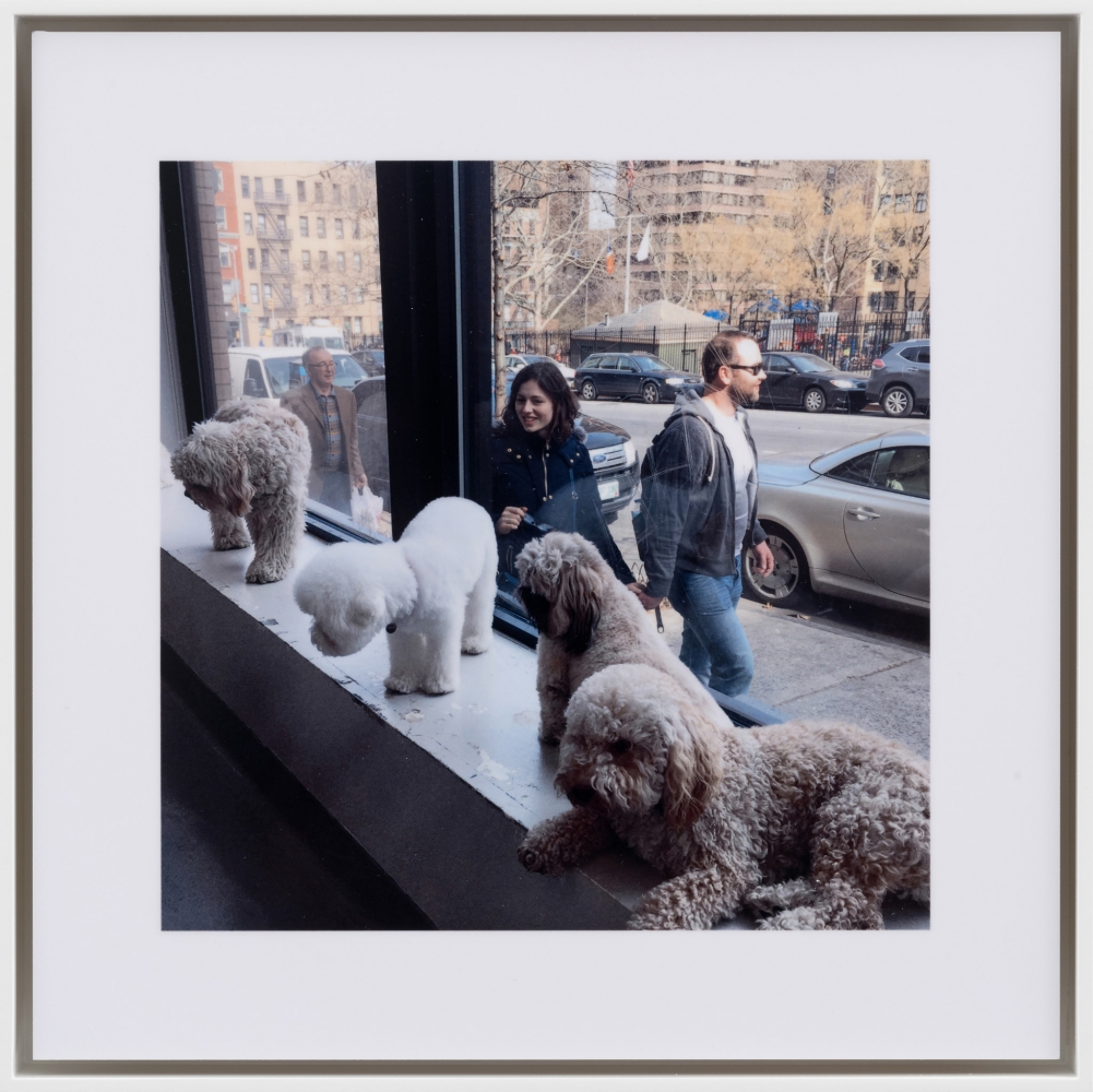 Stephen Shore, Dog Room Club, New York, New York, March 23, 2016