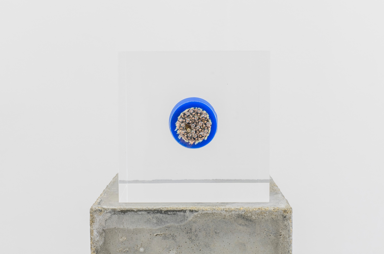 Nina Canell

Brief Syllable (Oceanic)

2016

Subterranean signalling cable, acrylic, concrete

4 x 4 x 4 inches (10 x 10 x 10 cm)

39 3/8 x 5 1/8 x 5 1/8 inches (100 x 13 x 13 cm) pedestal

43 3/8 x 5 1/8 x 5 1/8 inches (110 x 13 x 13 cm) overall

NC 131

&amp;nbsp;

INQUIRE