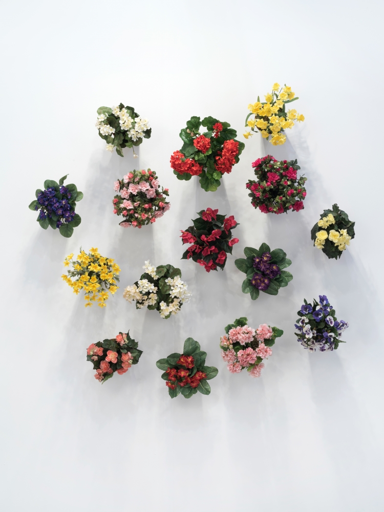 Hans-Peter Feldmann, Flower Pot