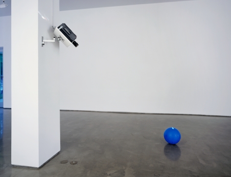 Ceal Floyer, Restricted Area, 2006, Installation view: 303 Gallery, New York
