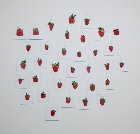 Hans-Peter Feldmann, One Pound Strawberries