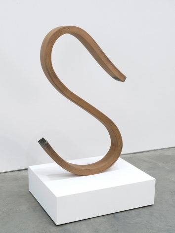 Matt Johnson, S shaped 2x4, 2016
